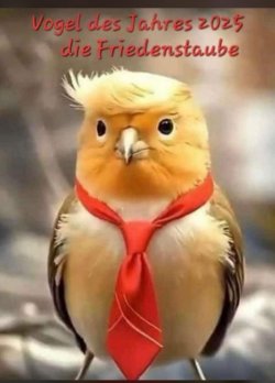 b39f5c87-f02f-4400-b221-b0b81eb66509.jpeg