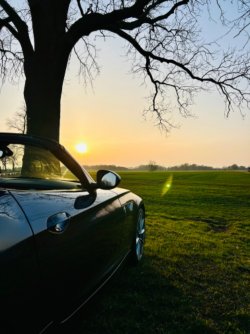IMG_2154.jpeg