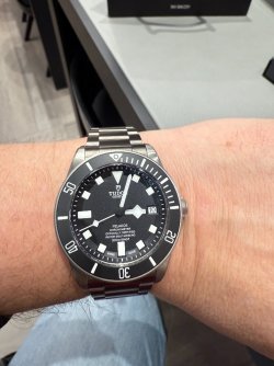Pelagos_1.JPG