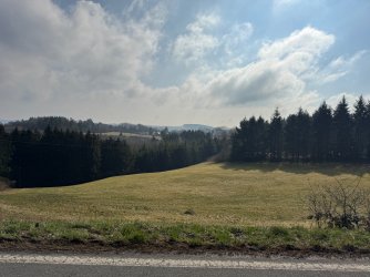 IMG_5050.jpeg