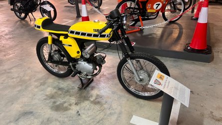 IMG_8090.jpeg