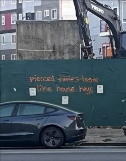 1742479252190.jpeg
