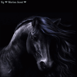 IMG_0240.gif