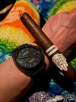 IMG_1384.jpeg