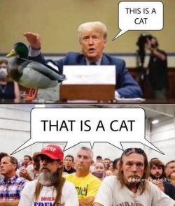 1742646488658.png