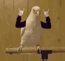 yes-yay.gif