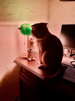 IMG_4486.jpeg