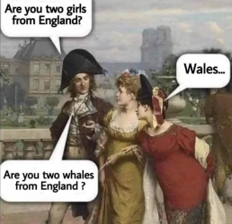 1743583756612.png
