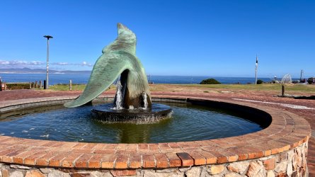 IMG_7965.jpeg IMG_7965.jpeg