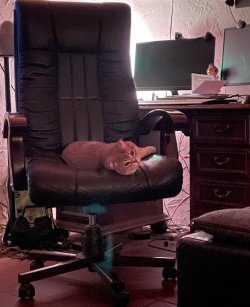 IMG_5246.jpeg