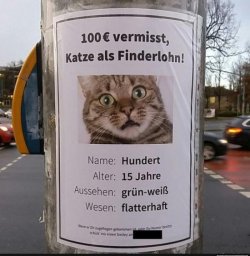1000041913.jpg