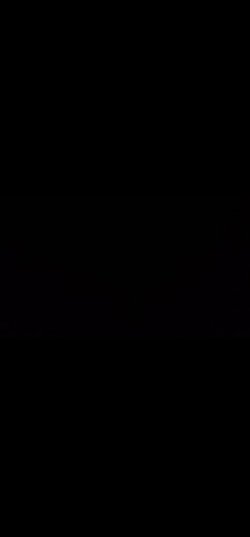 Screenshot_20250408_174959_Gallery.jpg
