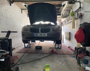 IMG_5266.jpeg