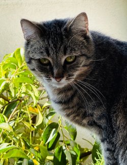 IMG_1939.jpeg
