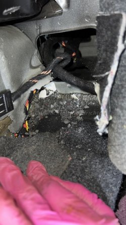 Maus im Kofferraum1.jpg