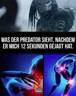 1744703305498.jpeg