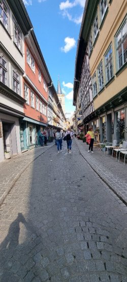 20250414_162818.jpg