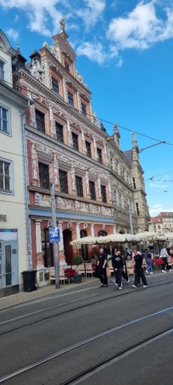 20250414_165116.jpg