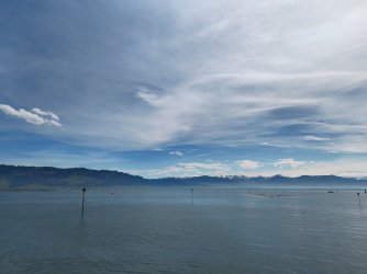 IMG_20250419_131633713.jpg