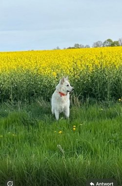 IMG_8163.jpeg