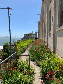 IMG_5560.jpeg