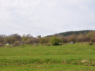 SSC_0446.JPG