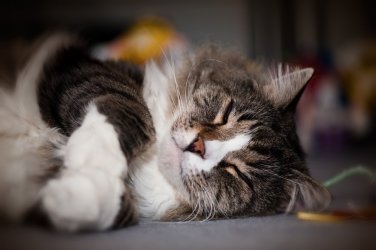 2010.03.05_23.34.jpg