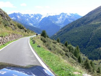 Gaviapass3.jpg