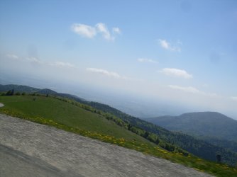 SDC10007.jpg
