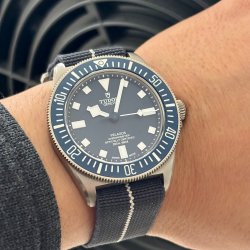 IMG_3613.jpeg