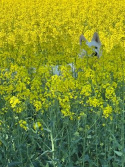 9f659013-c606-4968-948c-1855d10101c9.jpeg