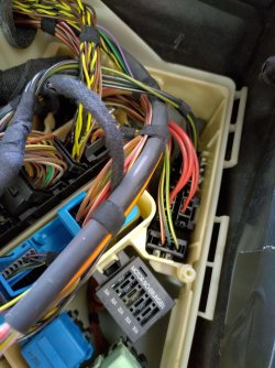Z4 ECU22.jpg