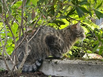 IMG_1999.jpeg