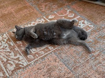 IMG_5268.jpeg