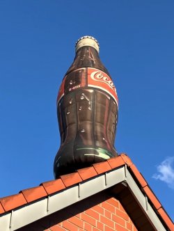 IMG_8765.jpeg