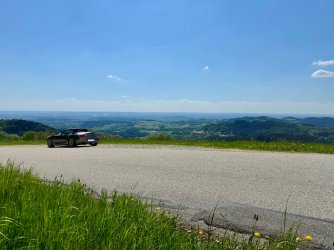 IMG_3550.jpeg