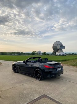 IMG_2319.jpeg