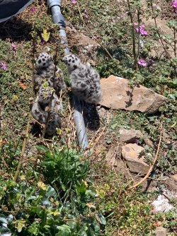 IMG_5562.jpeg