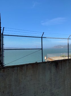 IMG_5532.jpeg