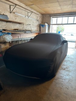 IMG_9336.jpeg