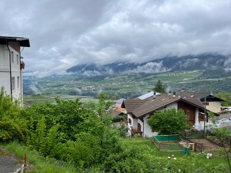 IMG_6016.jpeg