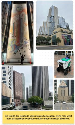 IMG_8973.jpeg