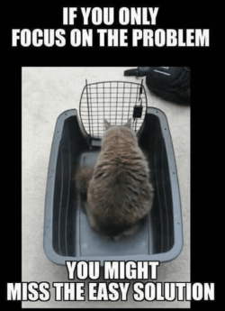 1745850278965.png