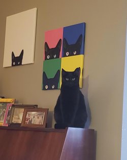 IMG_1349.jpeg
