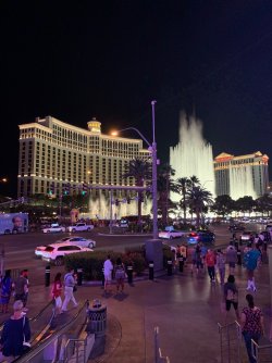 IMG_5816.jpeg