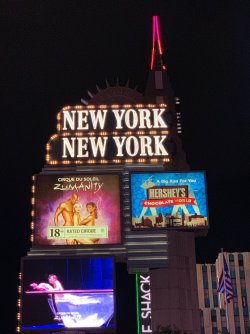 IMG_5795.jpeg
