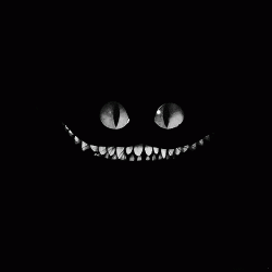 IMG_0271.gif