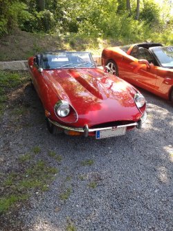 Resizer_17469834062967.jpg