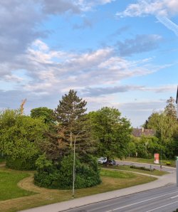 #WetterFrosch.jpg