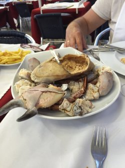 IMG_0597.jpeg